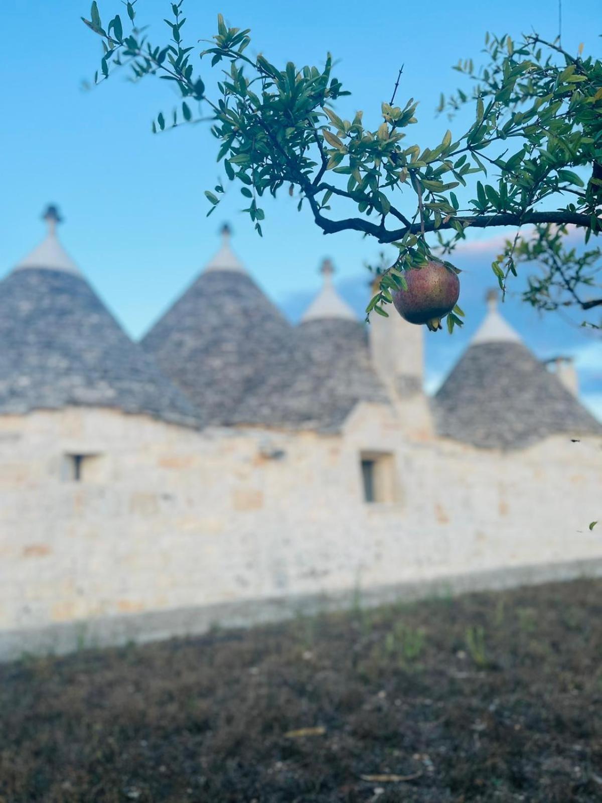 Hotel Scardino Trulli Locorotondo Zewnętrze zdjęcie